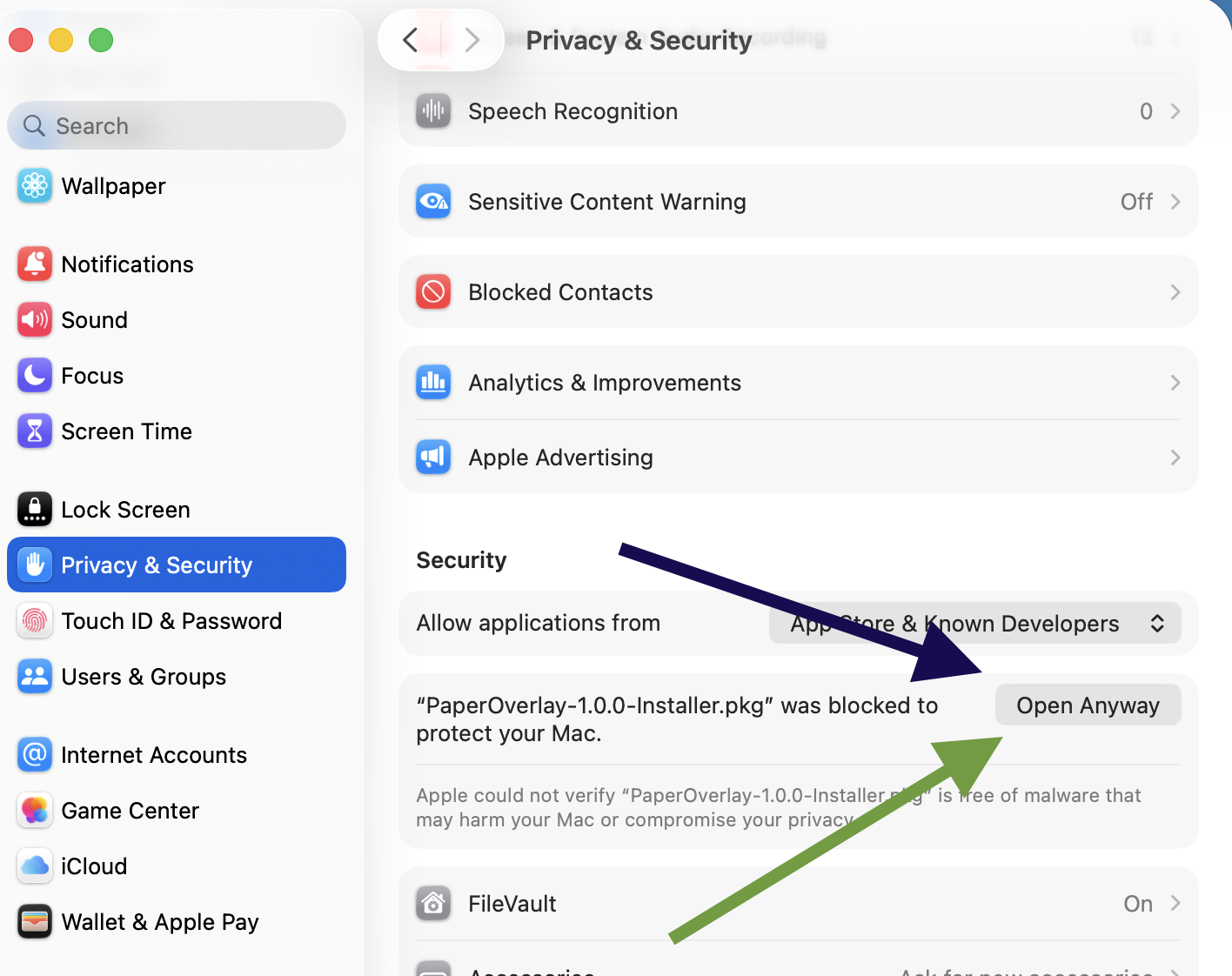 macOS Privacy and Security settings with arrows pointing to the Open Anyway button